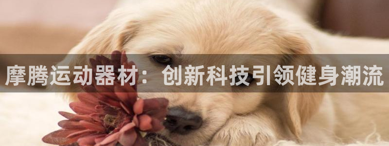 凯捷体育娱乐首页网站大全:摩腾运动器材:创新科技引领健身潮流