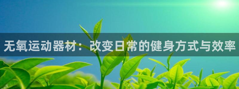 凯捷体育平台注册流程图:无氧运动器材:改变日常的健身方式与效