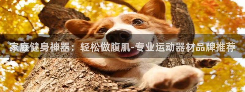 凯捷体育招商电话号码是多少:家庭健身神器:轻松做腹肌-专业运