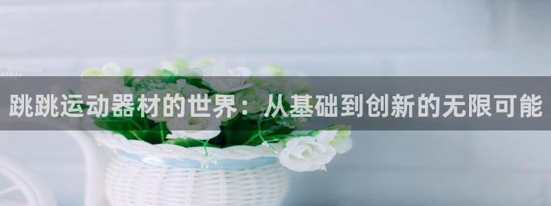 凯捷体育平台注册要钱吗:跳跳运动器材的世界:从基础到创新的无