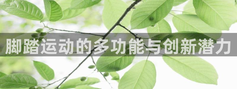 凯捷体育集团官网首页:脚踏运动的多功能与创新潜力